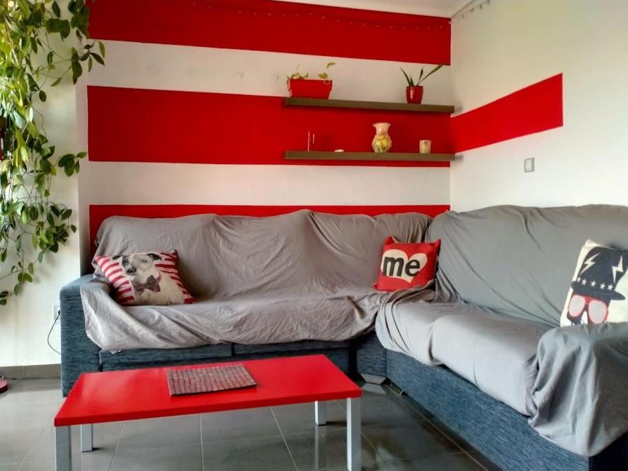 Zona Centro-Parking Gratuito Apartment Castellon de la Plana Exterior photo